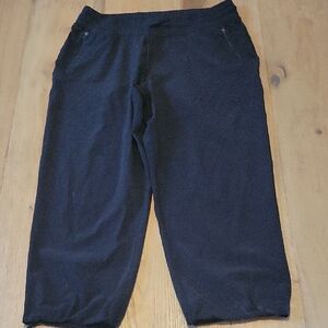 Fabletics Black Cropped Athletic Pants Size Large
